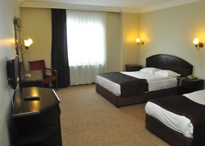 Genc Yazici Uludag Bursa